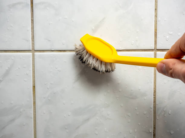 Best Mold Damage Repair  in Country Knolls, NY