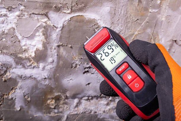 Best Toxic Mold Removal  in Country Knolls, NY